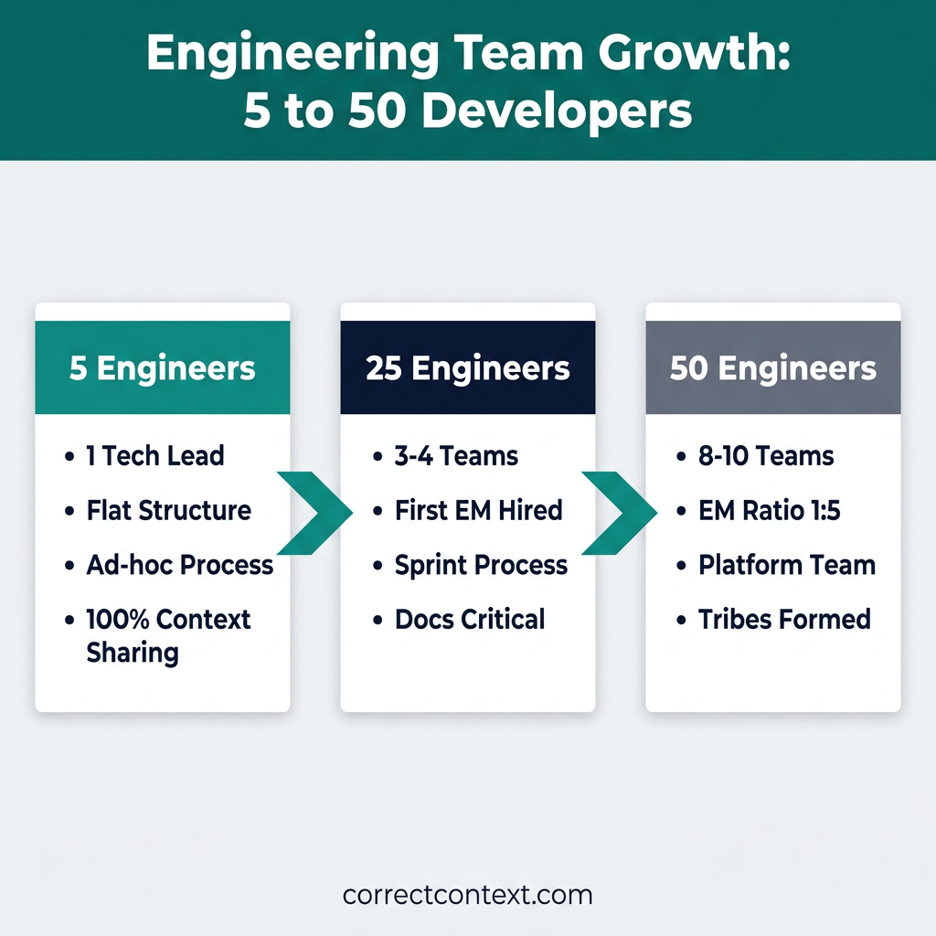Engineering team growth comparison showing structure at 5, 25, and 50 developers